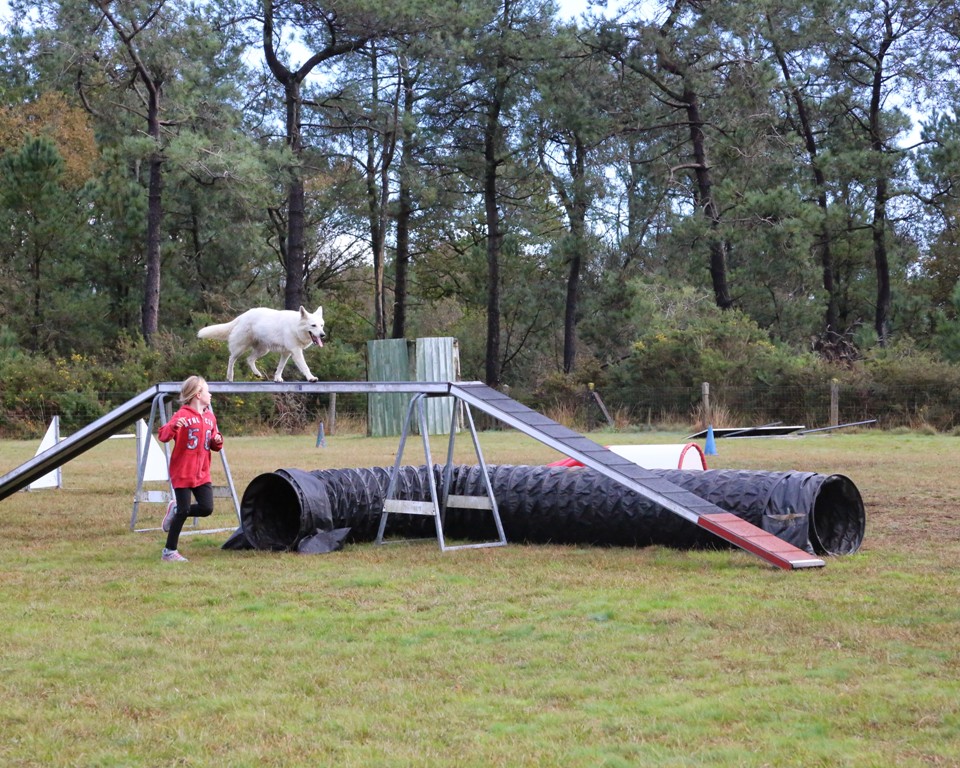 Agility débutants (23)