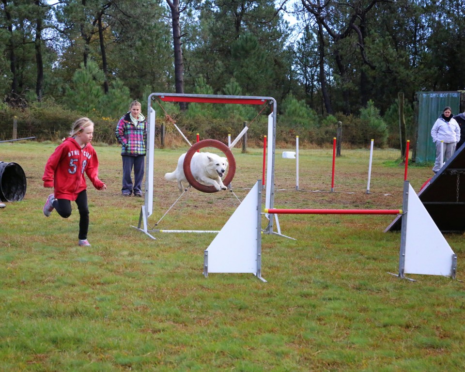 Agility débutants (26)