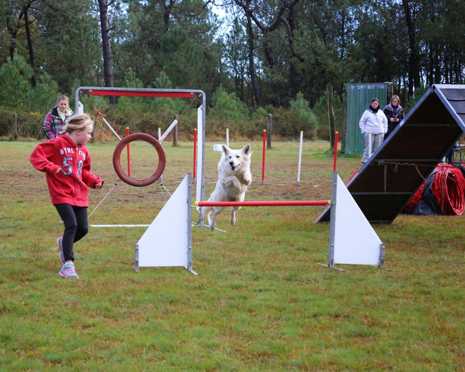 Agility débutants (27)