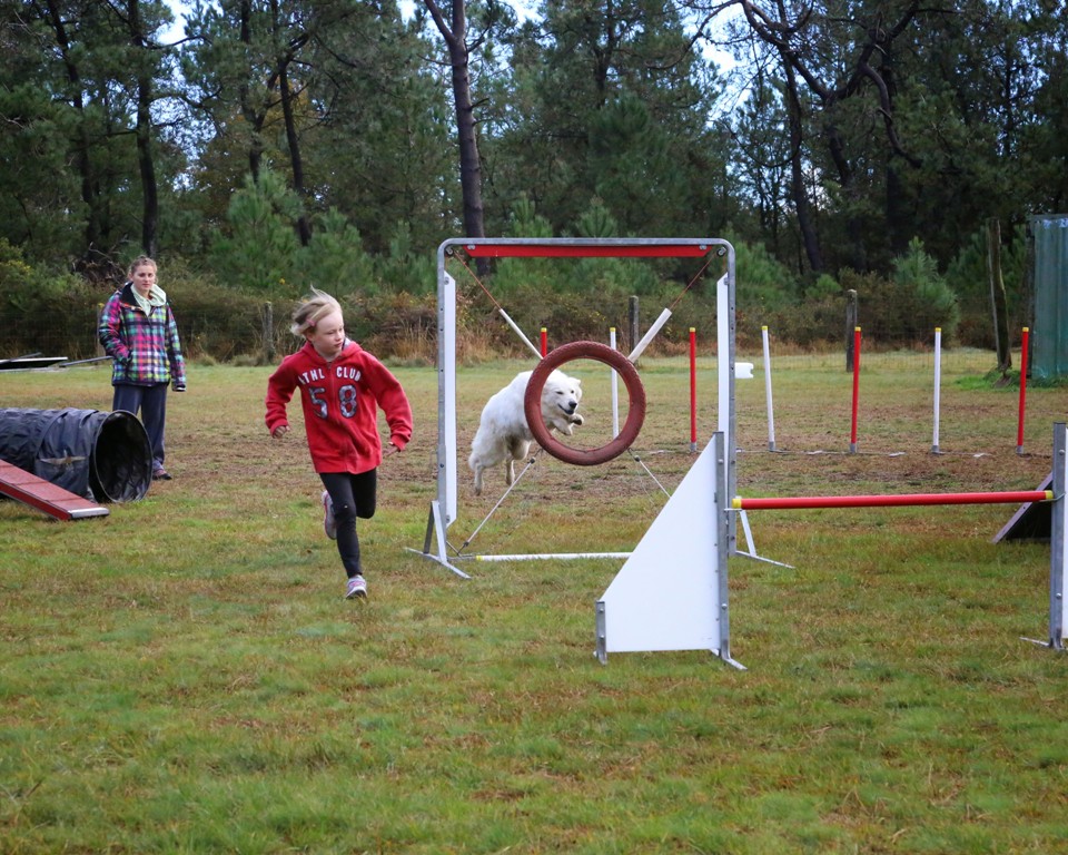 Agility débutants (29)
