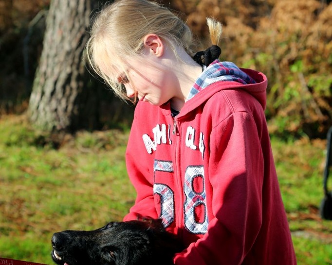 Agility débutants (3)