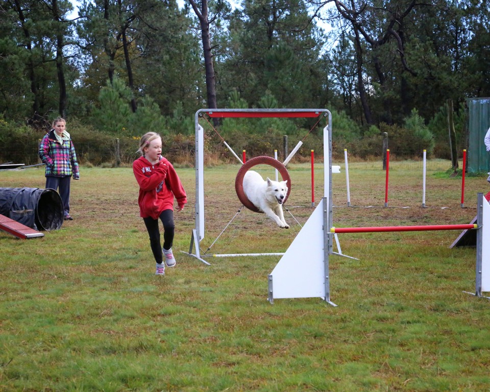 Agility débutants (30)