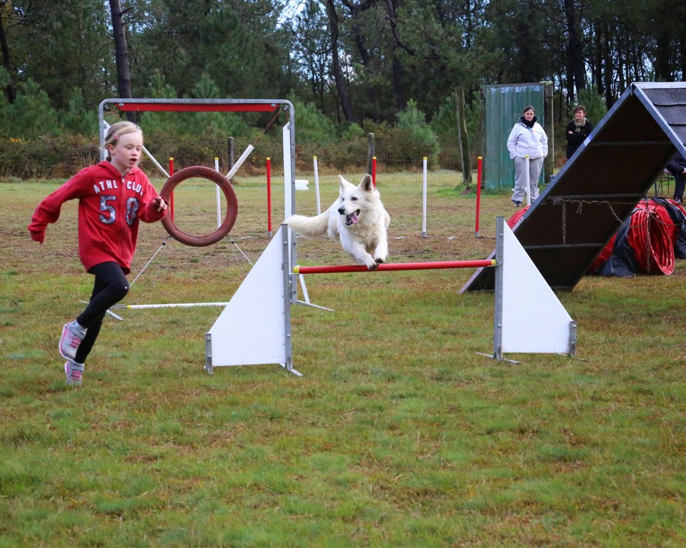 Agility débutants (32)