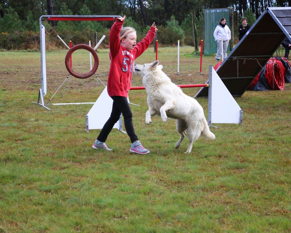 Agility débutants (33)