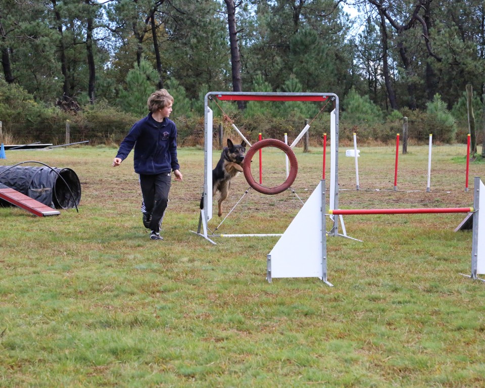 Agility débutants (35)