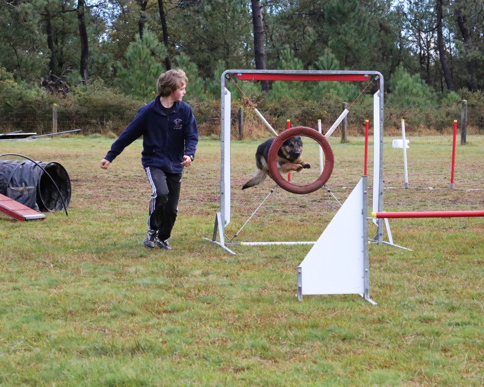 Agility débutants (36)