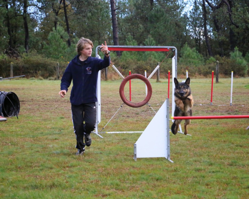 Agility débutants (37)