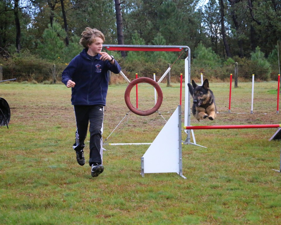 Agility débutants (38)