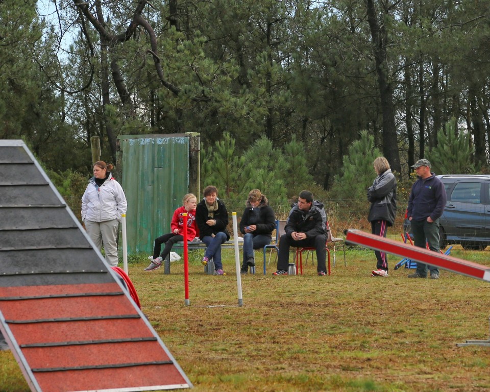 Agility débutants (40)