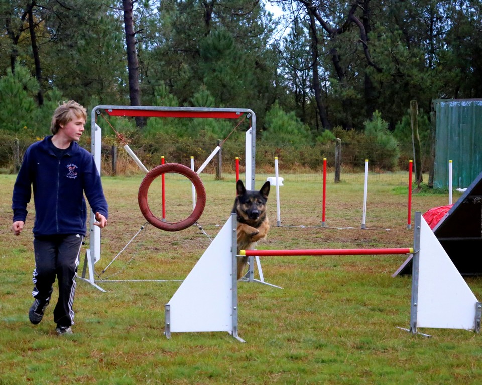 Agility débutants (41)