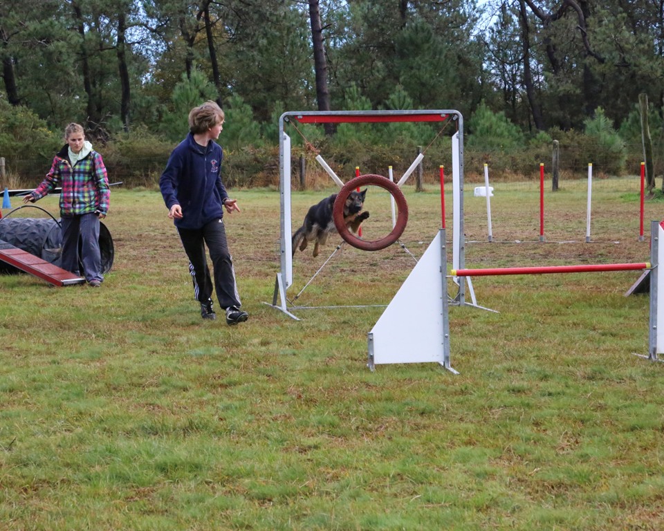 Agility débutants (42)