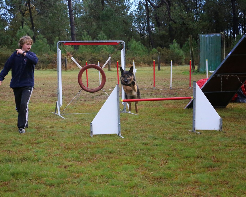 Agility débutants (43)