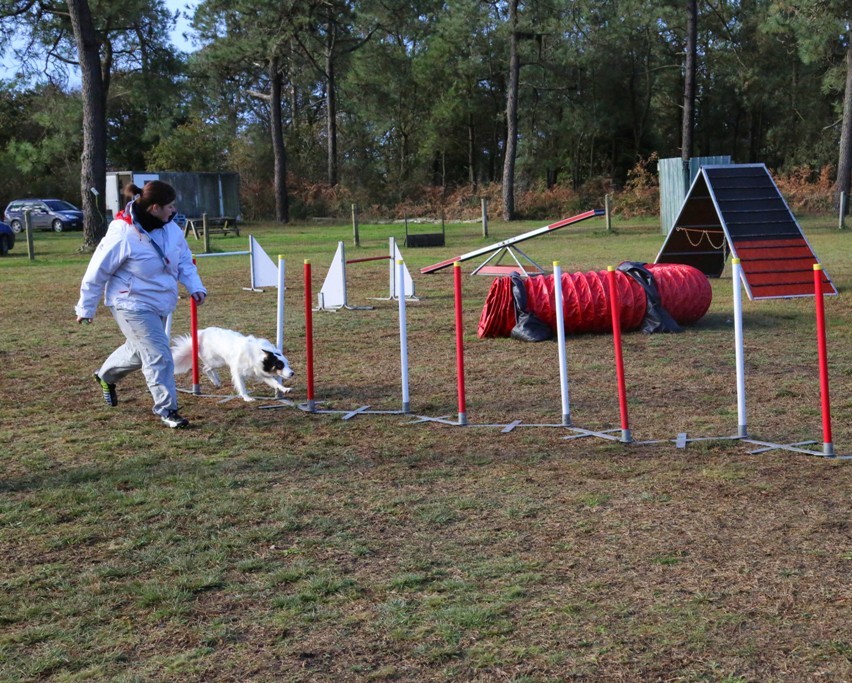 Agility débutants (5)