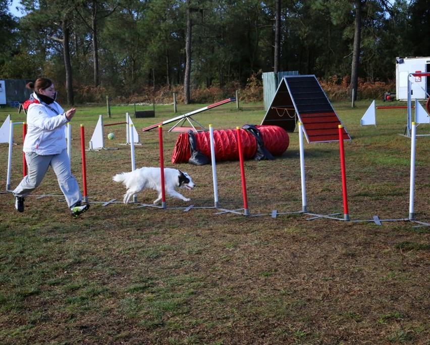 Agility débutants (6)