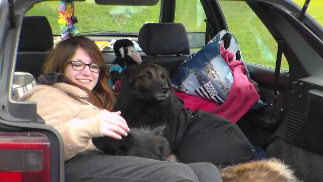 concours Agility  La Martyre  (1)