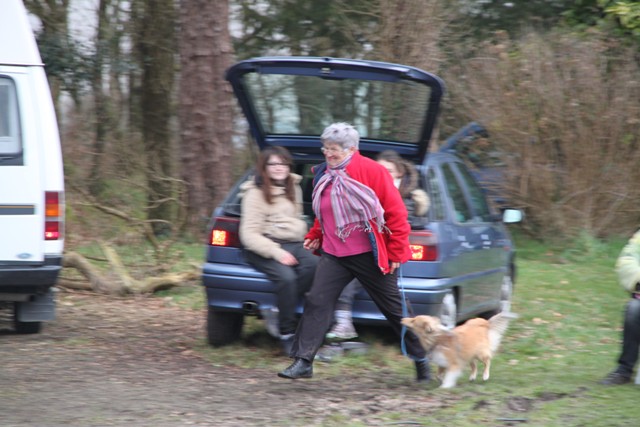 concours Agility  La Martyre  (15)