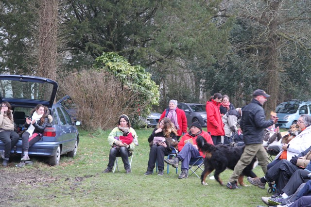 concours Agility  La Martyre  (16)