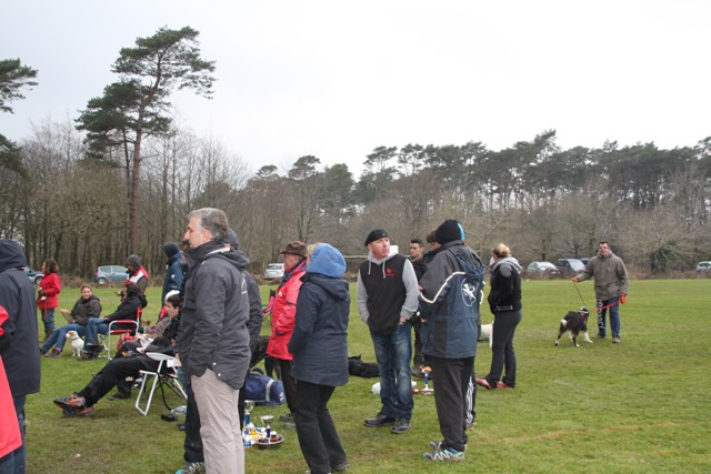 concours Agility  La Martyre  (17)