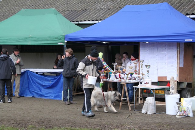 concours Agility  La Martyre  (18)
