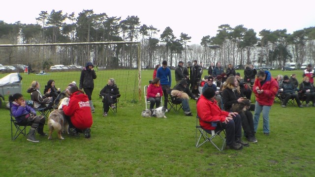 concours Agility  La Martyre  (2)