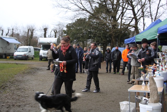 concours Agility  La Martyre  (21)