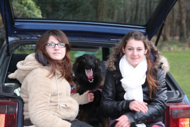 concours Agility  La Martyre  (22)