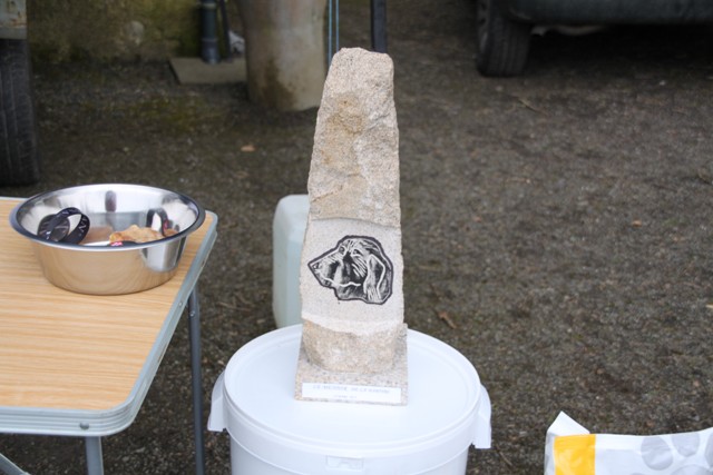 concours Agility  La Martyre  (23)