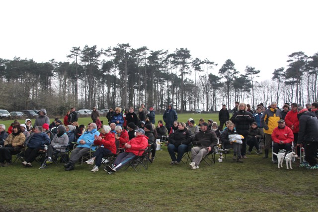 concours Agility  La Martyre  (27)