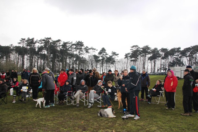concours Agility  La Martyre  (28)