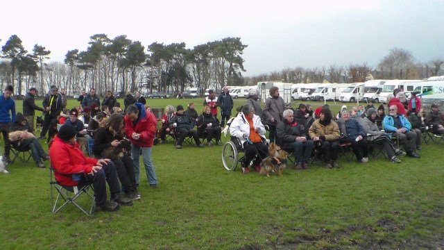 concours Agility  La Martyre  (3)