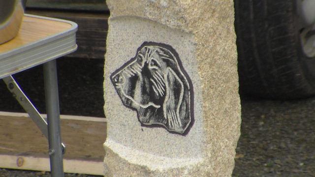 concours Agility  La Martyre  (5)