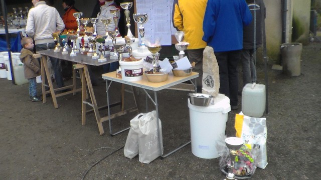 concours Agility  La Martyre  (6)