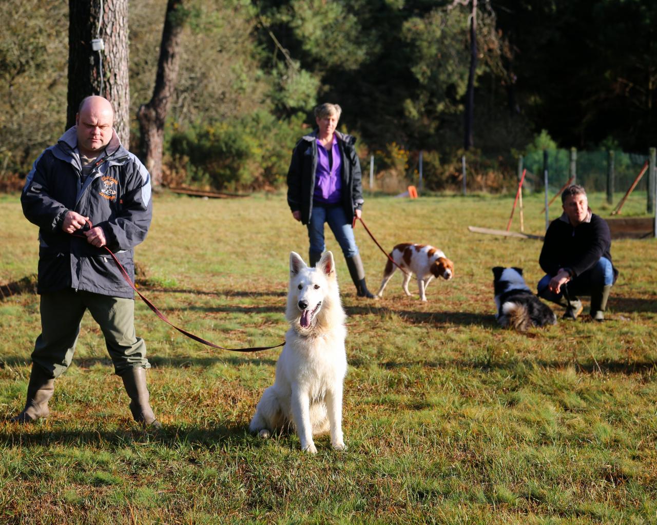 éducation canine (14)