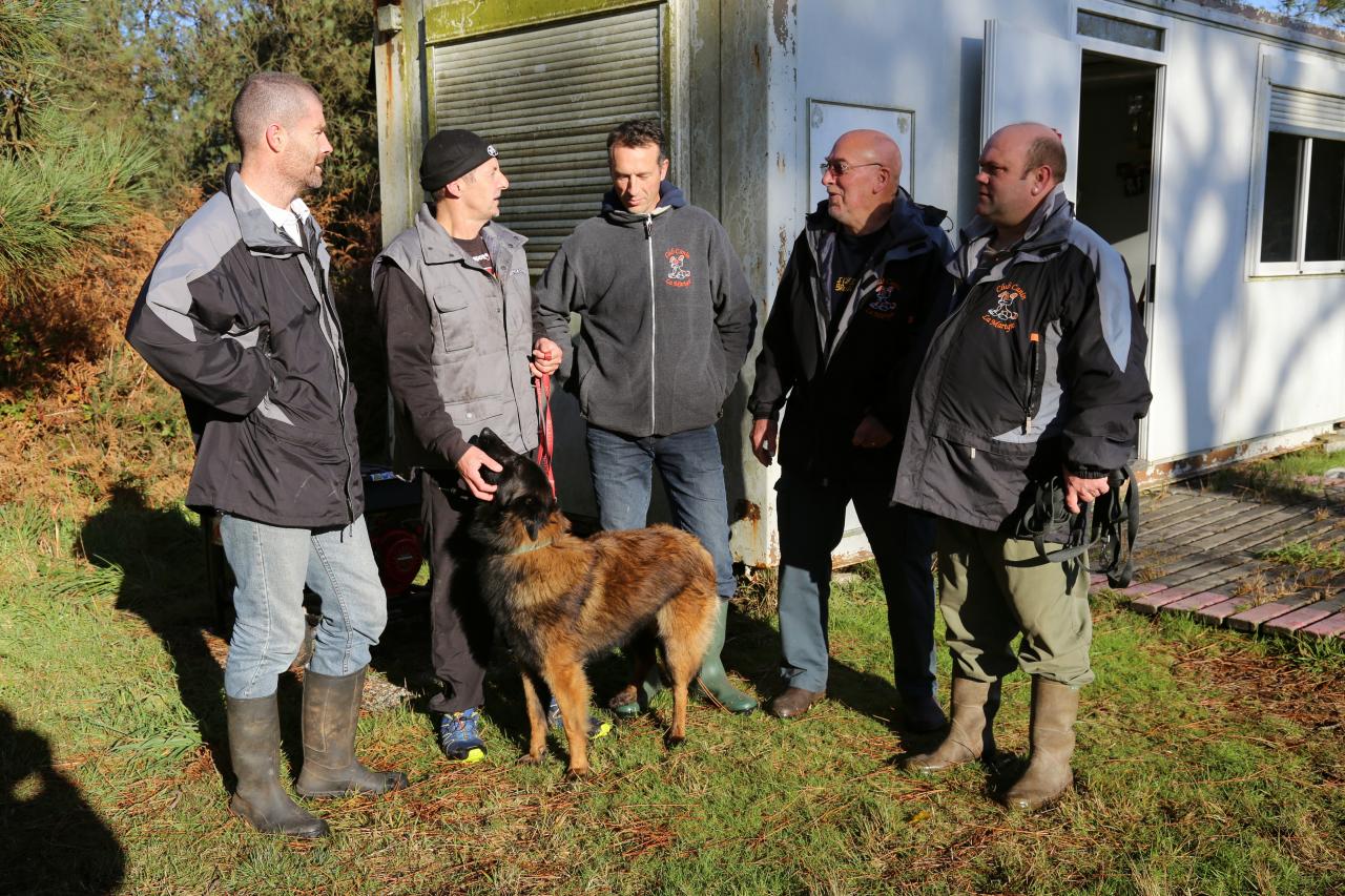 éducation canine (18)