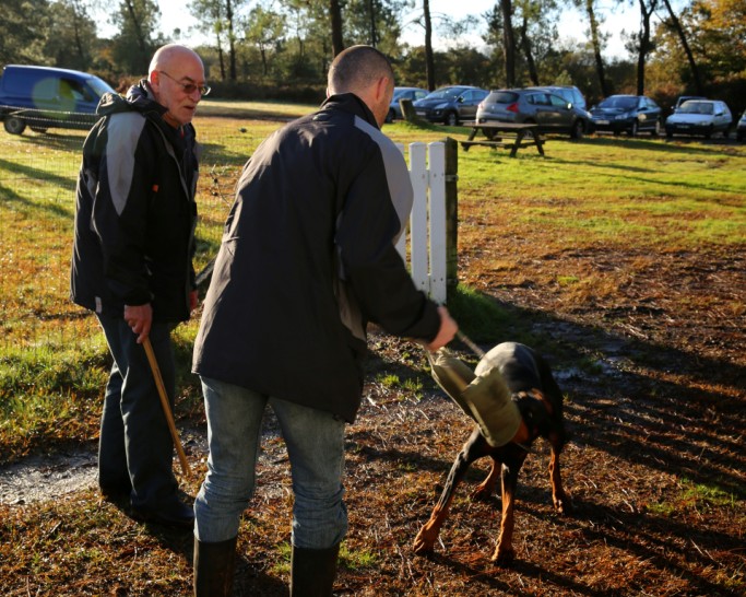 éducation canine (8)