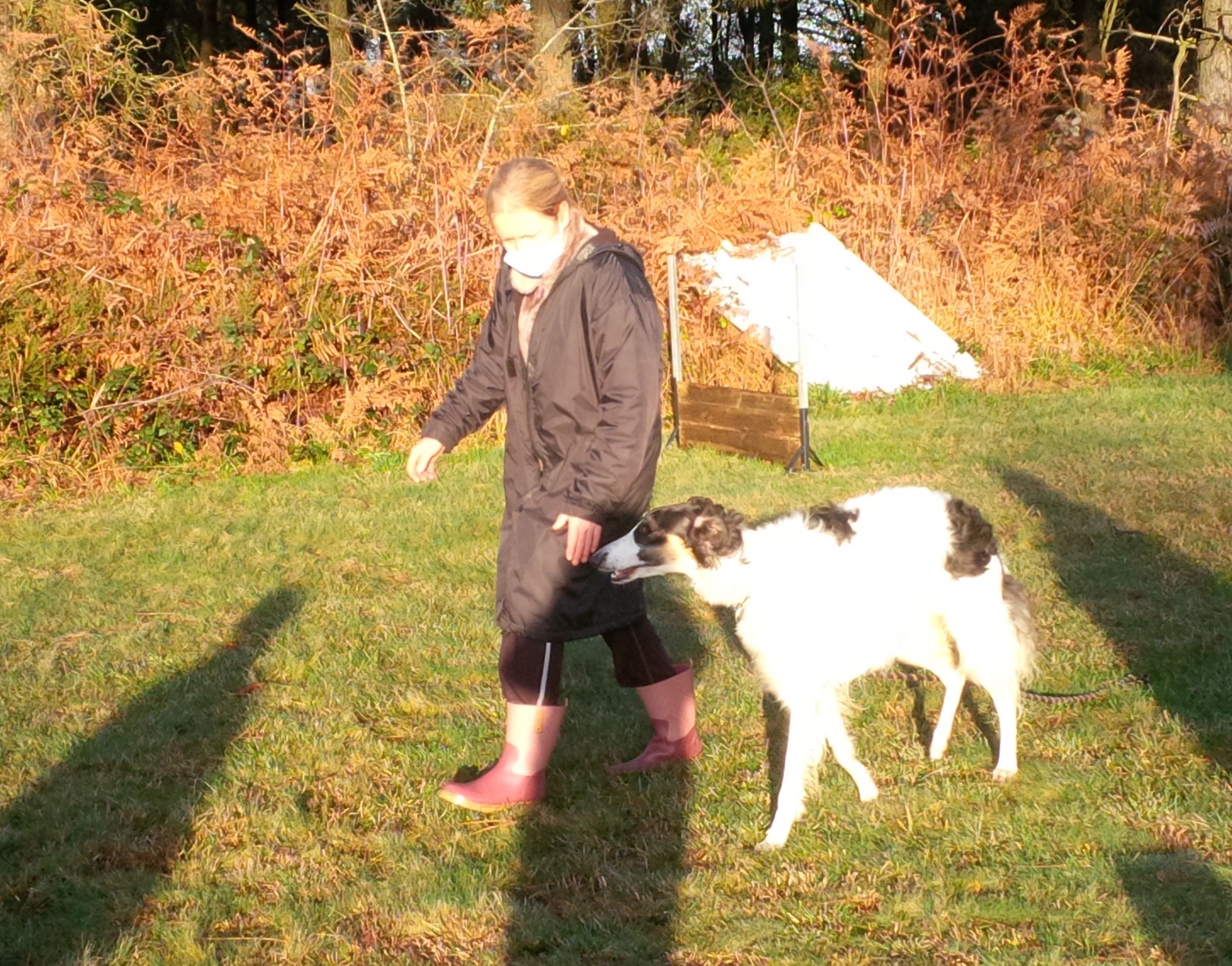 Img 20201128 100955 edit