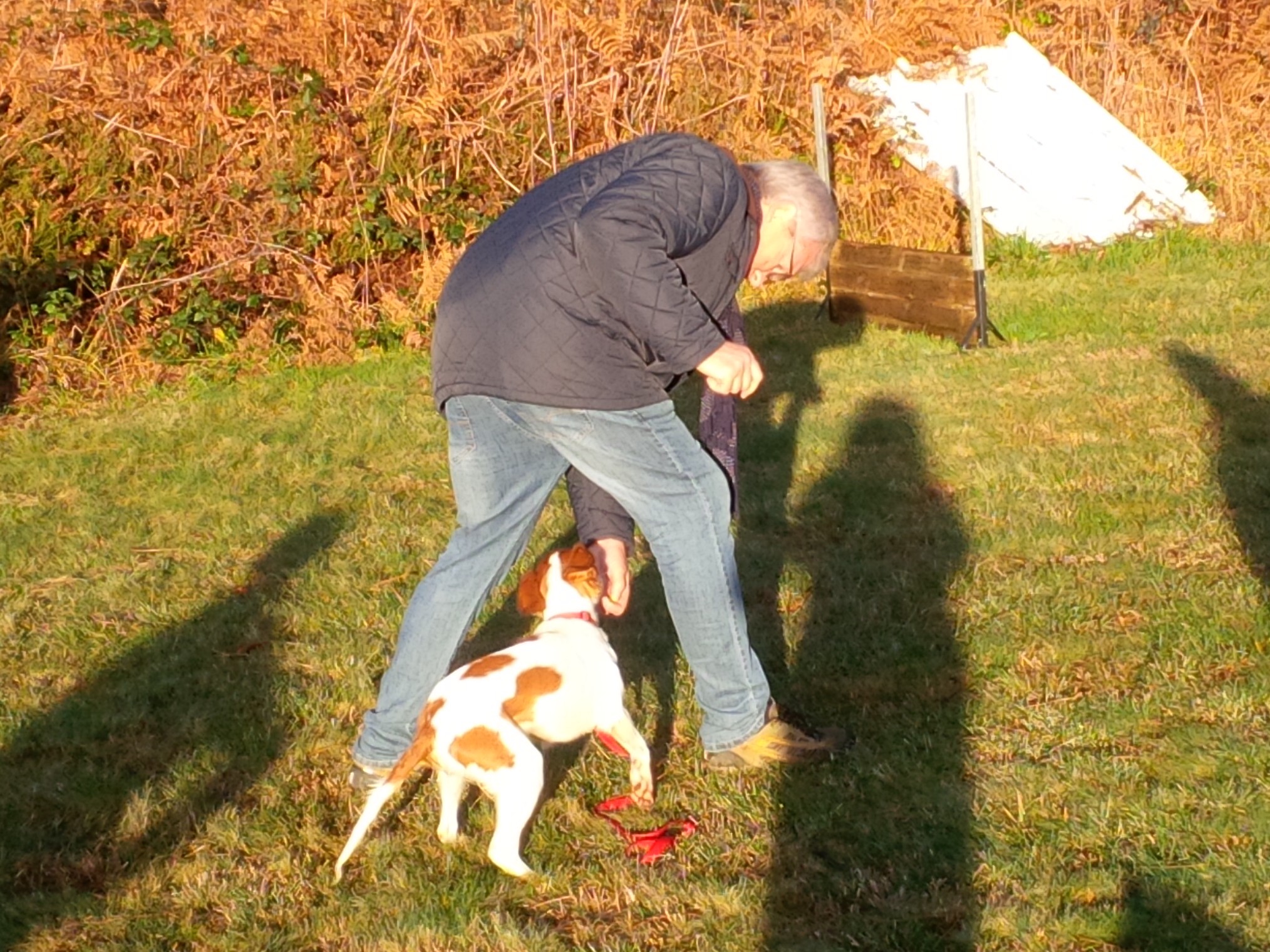 Img 20201128 101143 edit