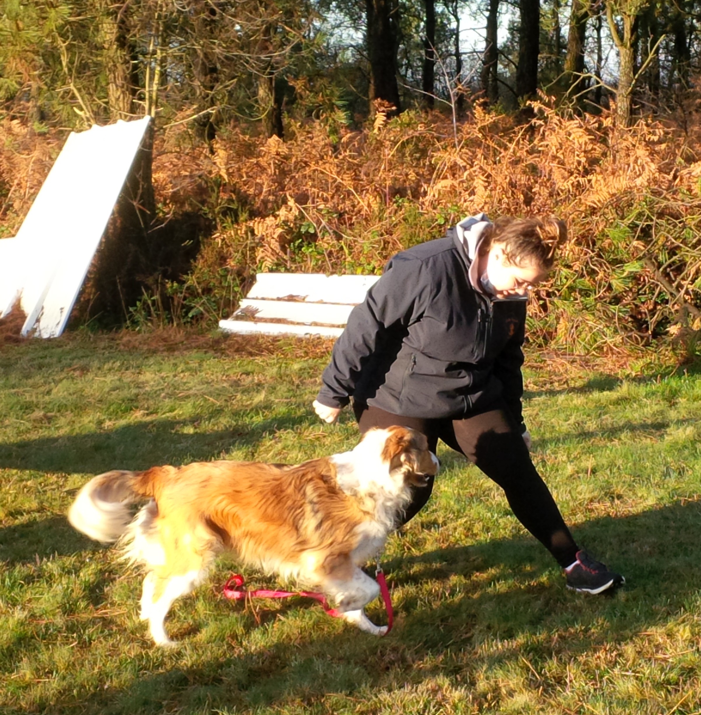 Img 20201128 101232 edit