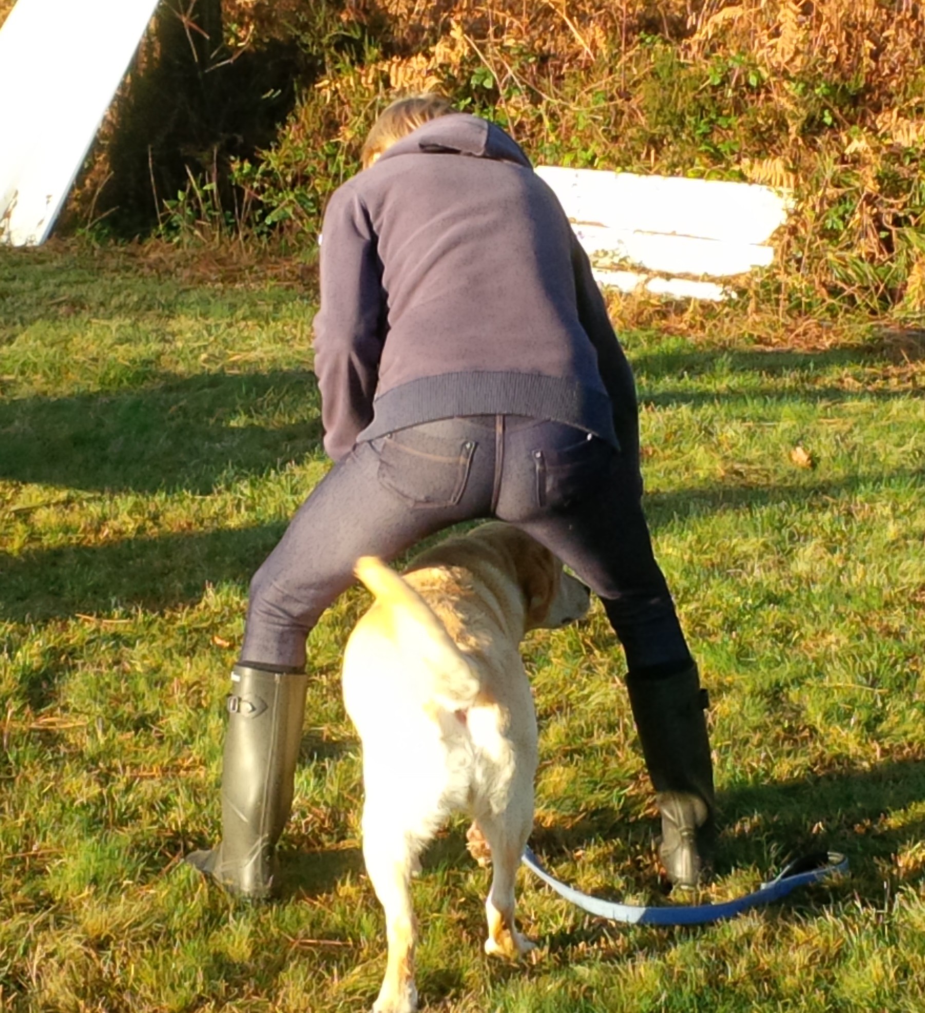 Img 20201128 101340 edit