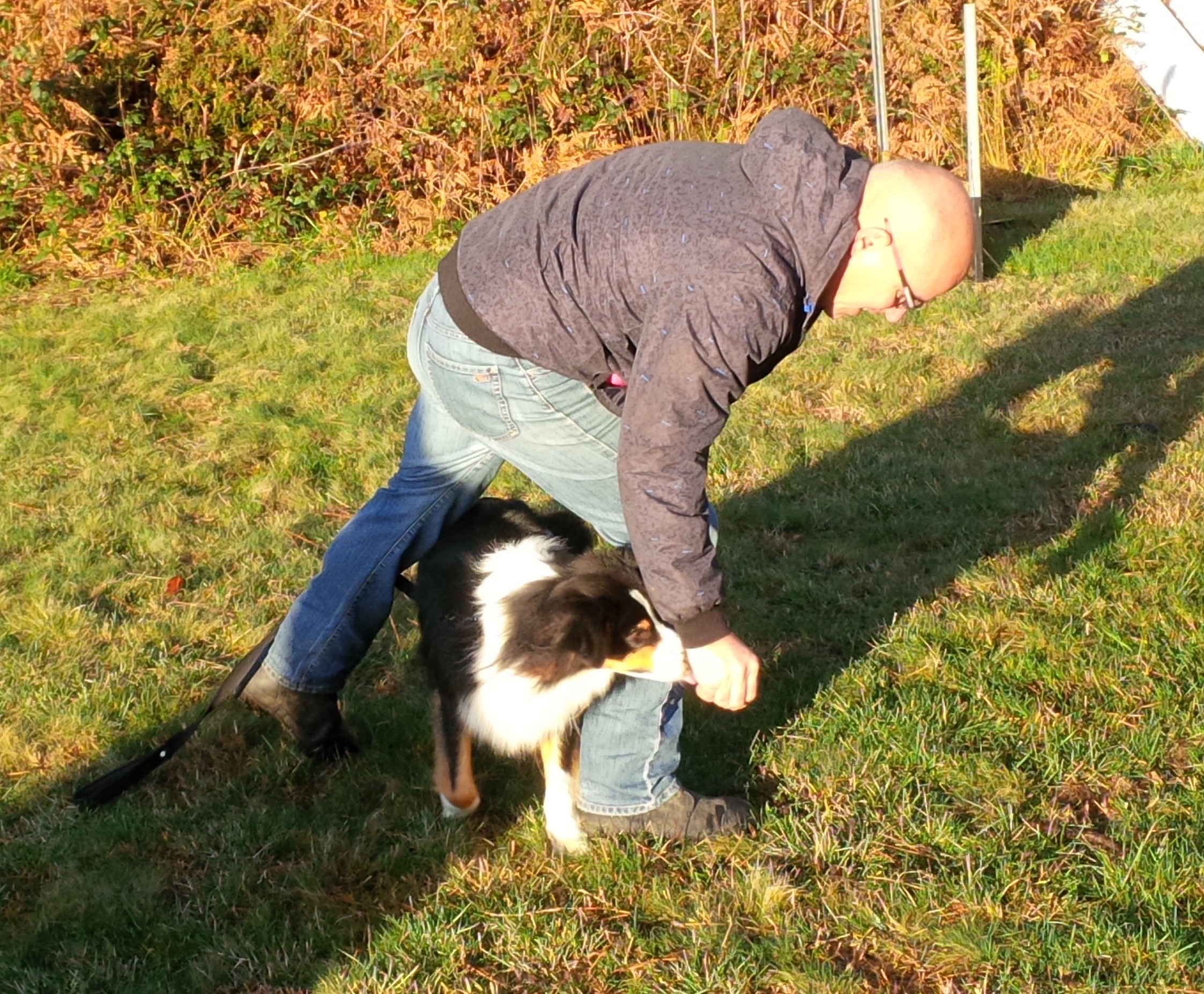 Img 20201128 101438 edit