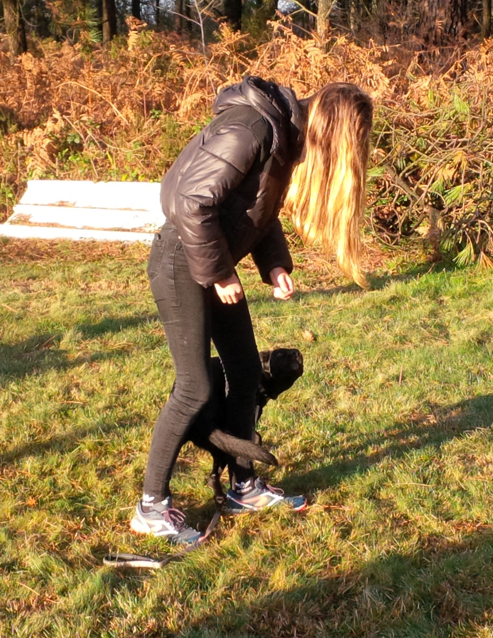 Img 20201128 101531 edit