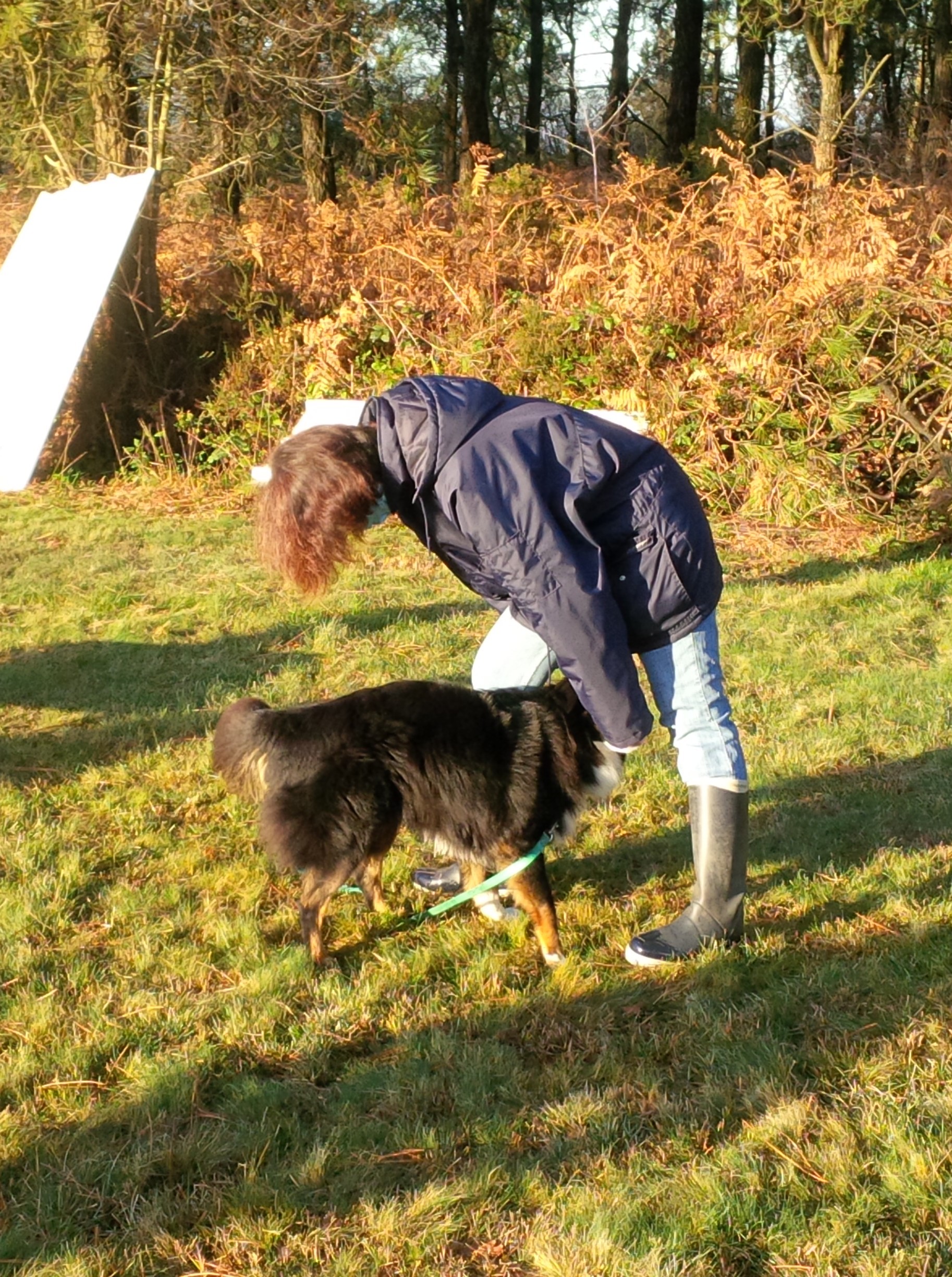 Img 20201128 101715 edit