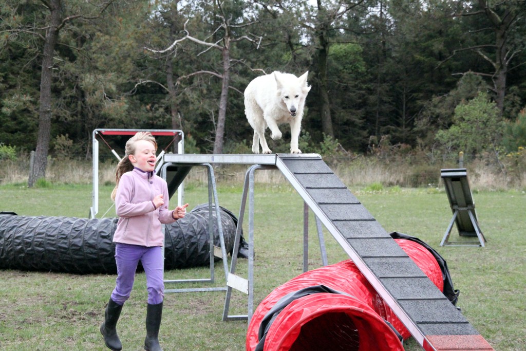 souvenirs-2014 JPG (102)