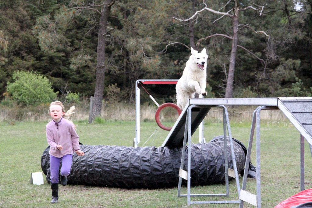 souvenirs-2014 JPG (103)