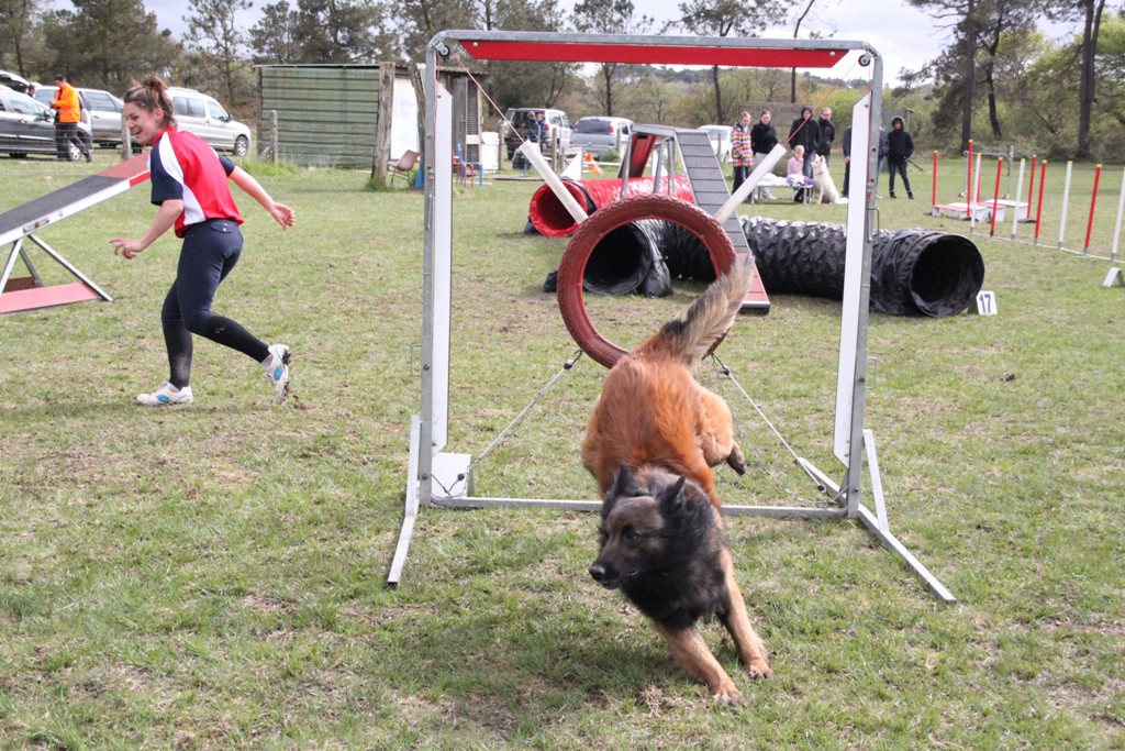 souvenirs-2014 JPG (112)