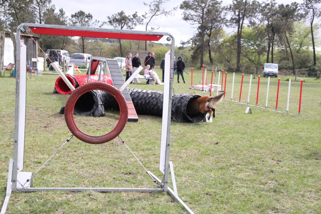 souvenirs-2014 JPG (114)