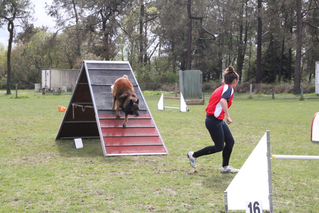 souvenirs-2014 JPG (115)