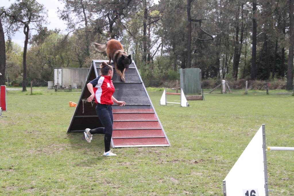 souvenirs-2014 JPG (116)