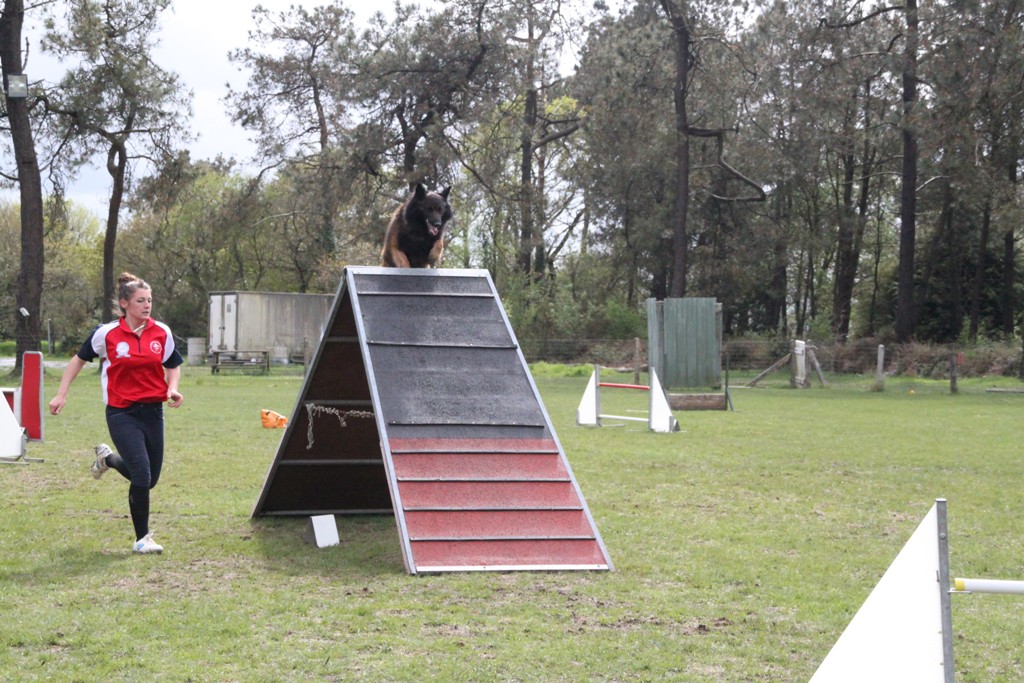 souvenirs-2014 JPG (117)