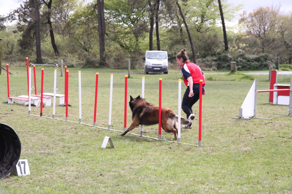 souvenirs-2014 JPG (118)